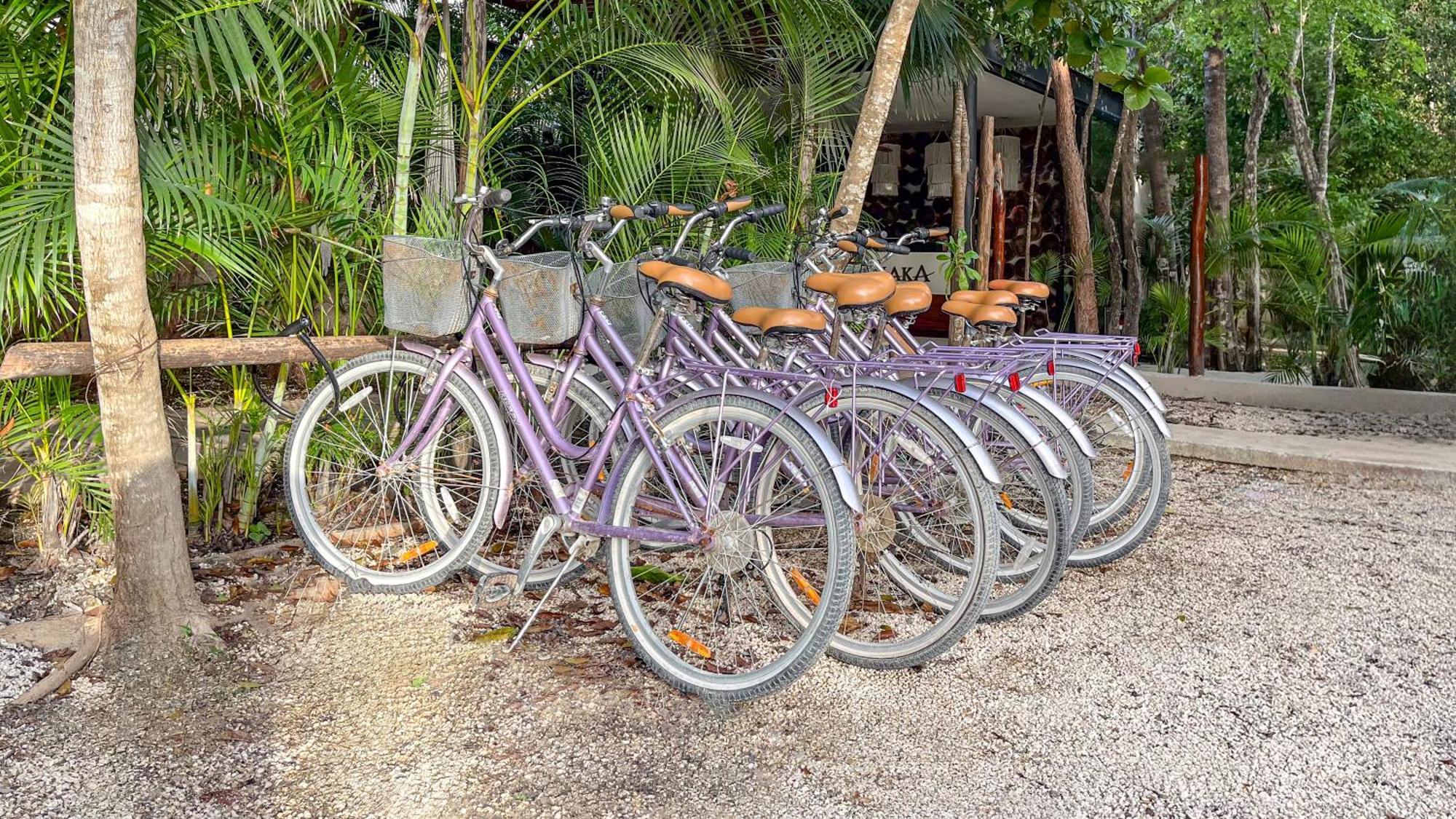 Amaka Calma Tulum Exterior foto
